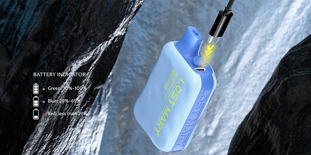 Why is My Lost Mary Blinking While Charging