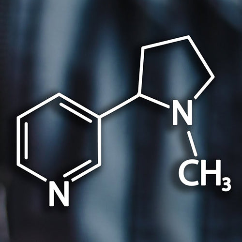 Synthetic Nicotine