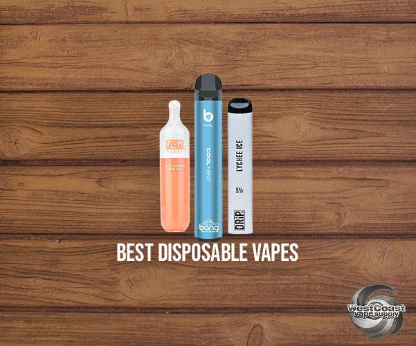 best disposable vapes nz The Best Disposable Vapes for Beginners – Ziip Stick main image 0