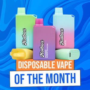 Disposable Vape of The Month - Puff Hotbox
