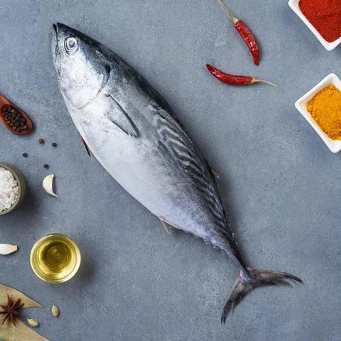 Tuna Fish