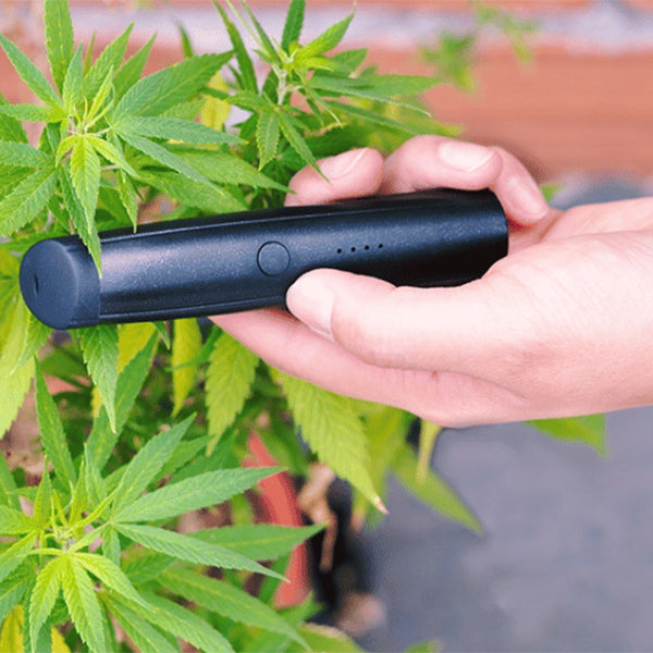 Cannabis Vaporizer